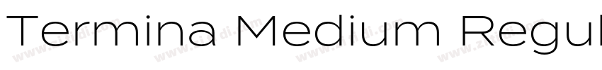 Termina Medium Regul字体转换